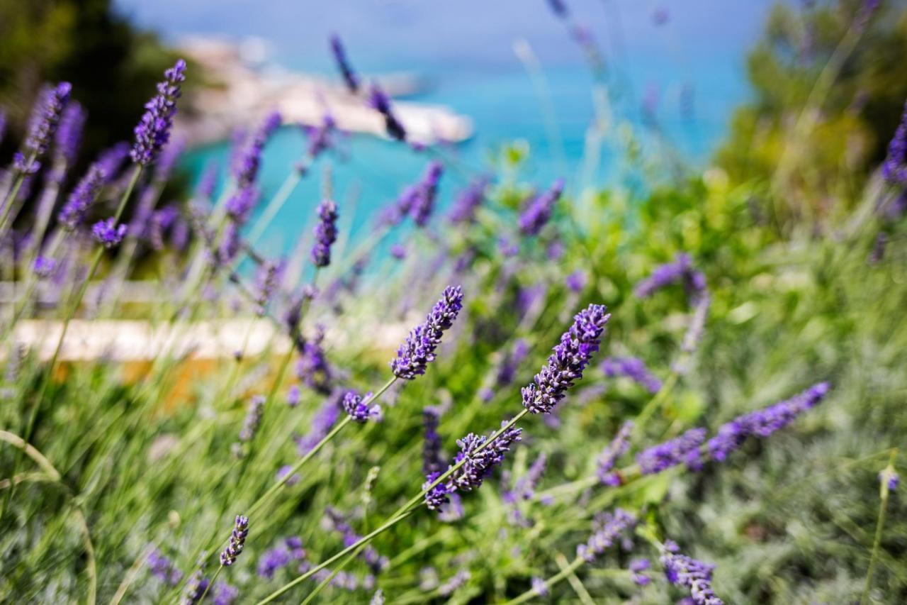 חוואר Blue Bay Residence מראה חיצוני תמונה